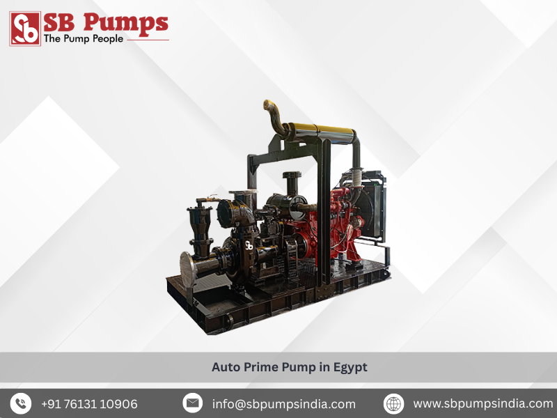  Auto Prime Pump in Egypt