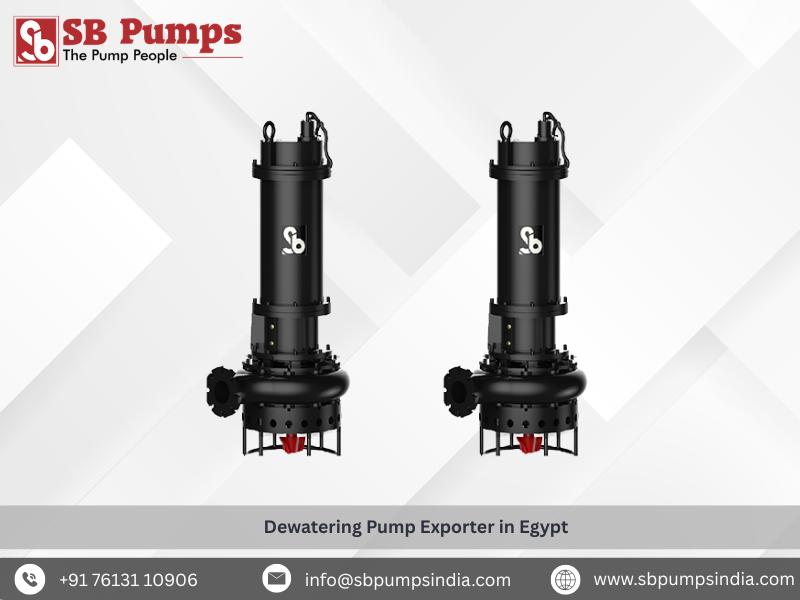  Dewatering Pump Exporter in Egypt