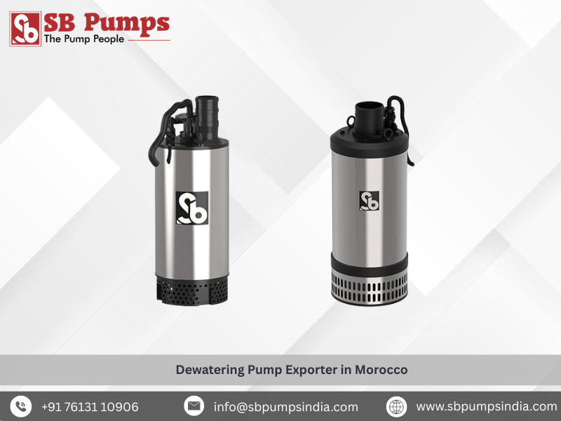  Dewatering Pump Exporter in Morocco