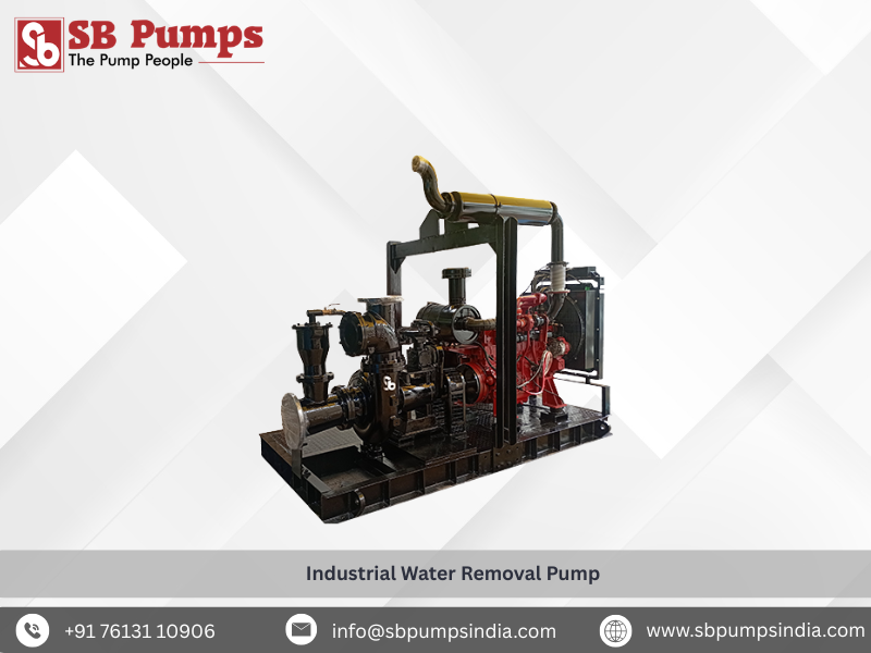 Industrial Water Removal Pump