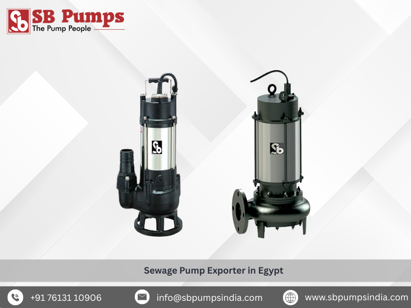  Sewage Pump Exporter in Egypt