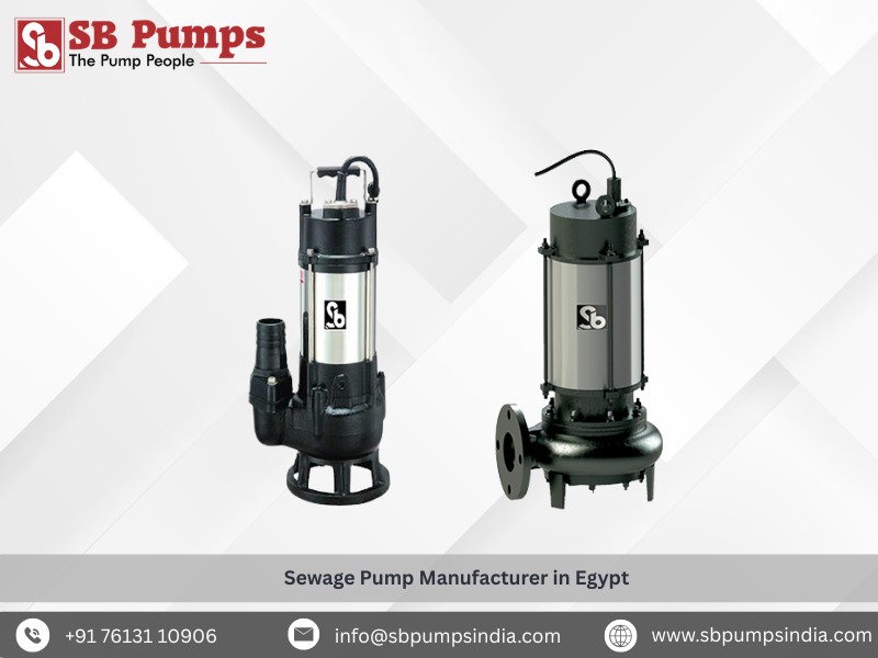  Sewage Pump Manufacturer in Egypt