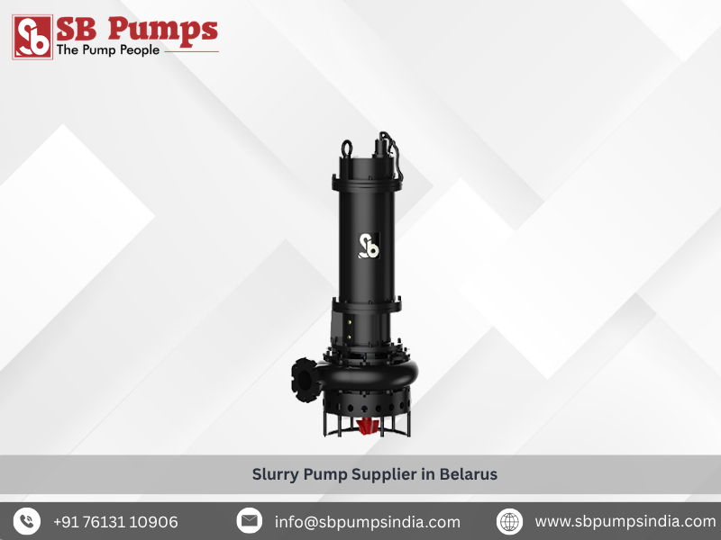 Slurry Pump Supplier in Belarus