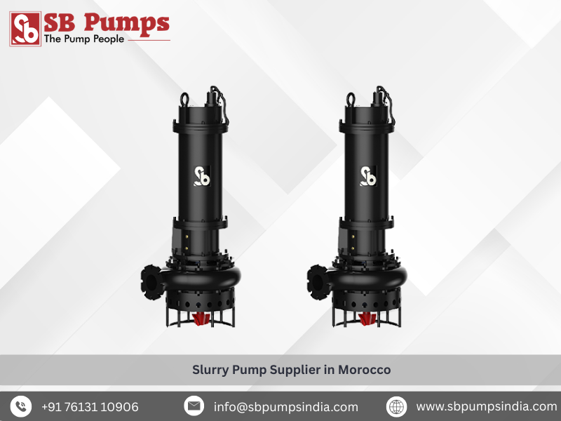  Slurry Pump Supplier in Morocco